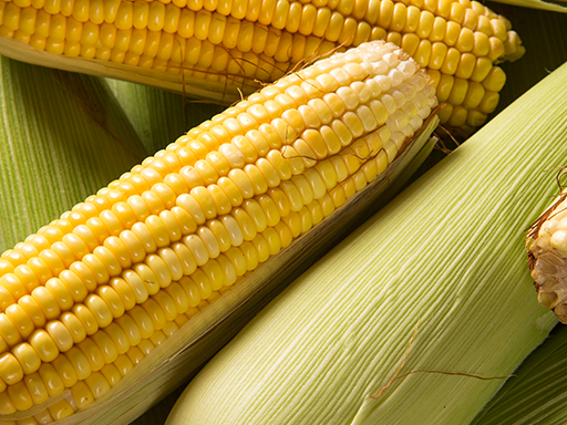 Maize