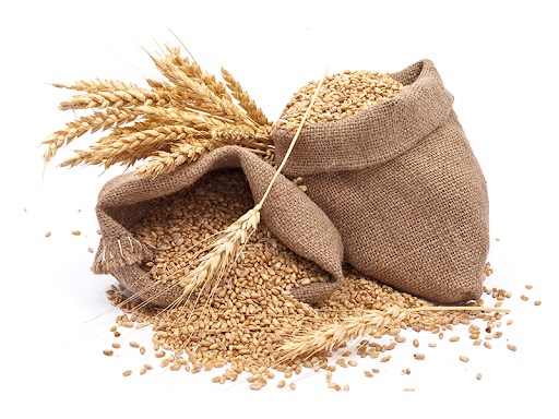 Wheat